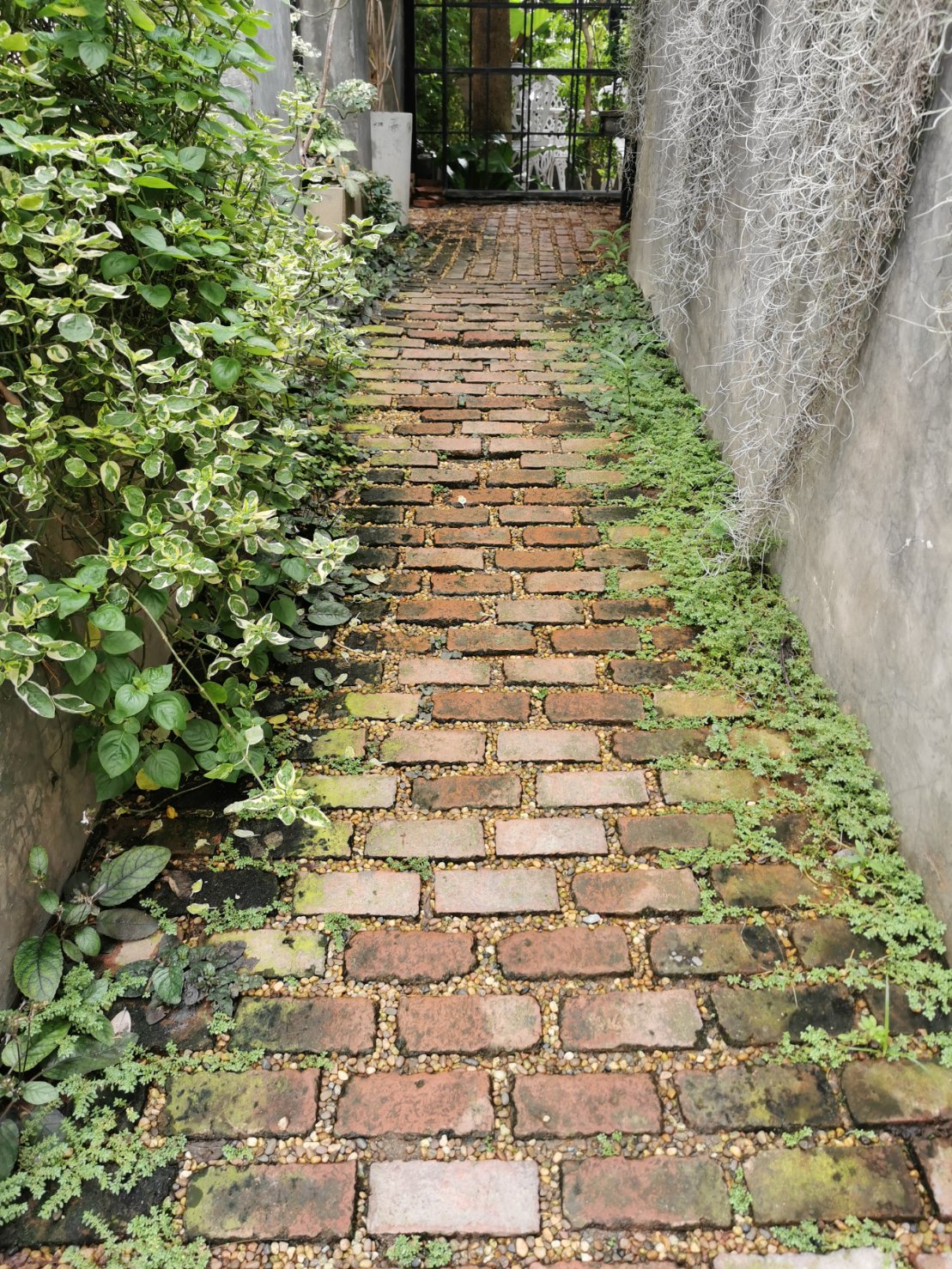 การใช้อิฐดินเผาทำทางเดิน